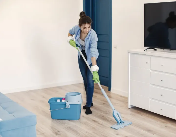 Femme de ménage Rehainviller